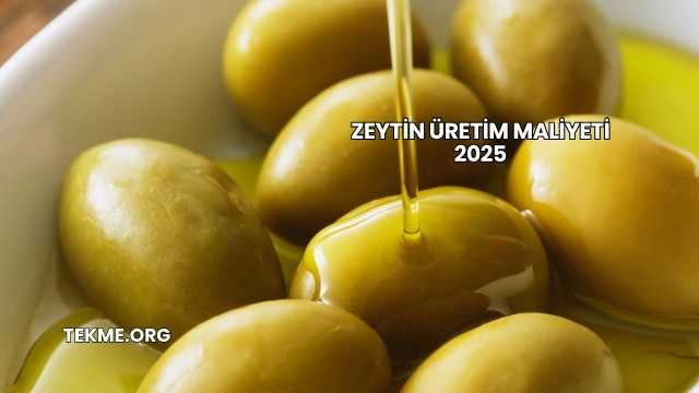 Zeytin Üretim Maliyeti 2025