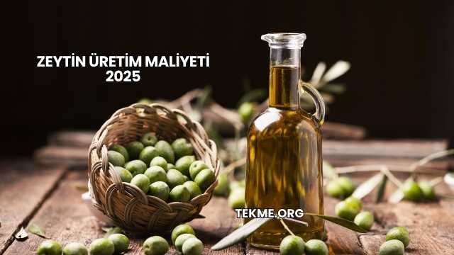 Zeytin Üretim Maliyeti 2025