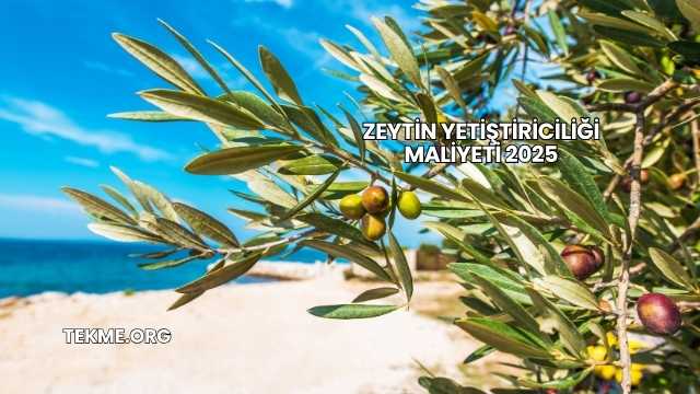 Zeytin Yetiştiriciliği Maliyeti 2025