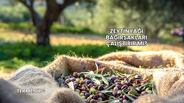 Zeytinyağı Bağırsakları Çalıştırır mı?