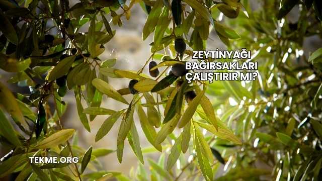 Zeytinyağı Bağırsakları Çalıştırır mı?
