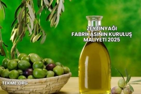 Zeytinyağı Fabrikasının Kuruluş Maliyeti 2025