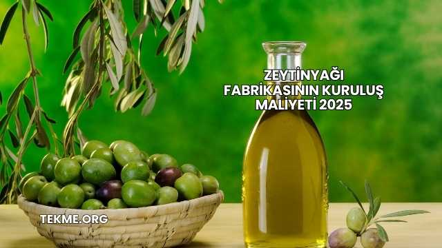 Zeytinyağı Fabrikasının Kuruluş Maliyeti 2025