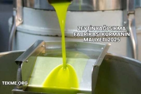 Zeytinyağı Sıkma Fabrikası Kurmanın Maliyeti 2025