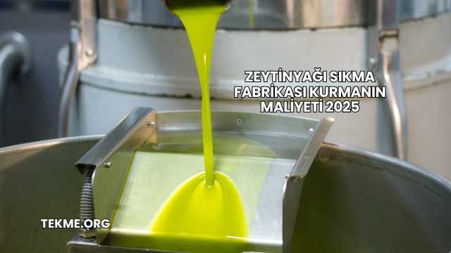 Zeytinyağı Sıkma Fabrikası Kurmanın Maliyeti 2025