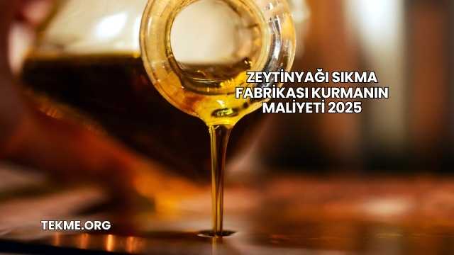 Zeytinyağı Sıkma Fabrikası Kurmanın Maliyeti 2025