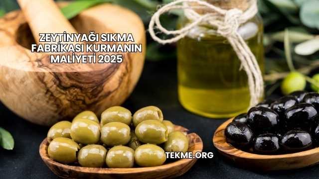 Zeytinyağı Sıkma Fabrikası Kurmanın Maliyeti 2025