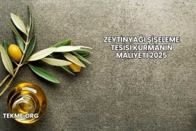 Zeytinyağı Şişeleme Tesisi Kurmanın Maliyeti 2025