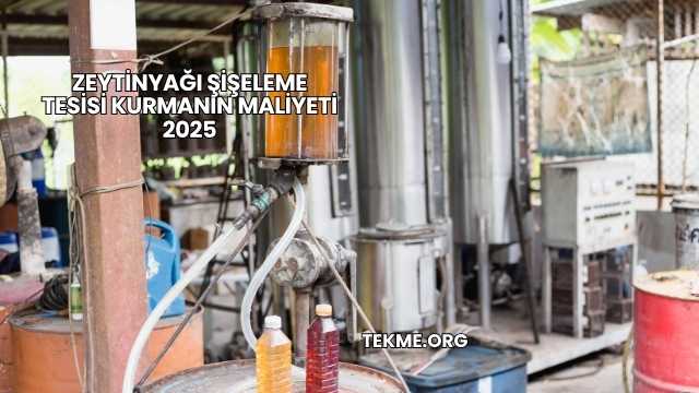 Zeytinyağı Şişeleme Tesisi Kurmanın Maliyeti 2025
