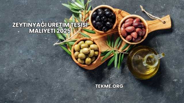 Zeytinyağı Üretim Tesisi Maliyeti 2025