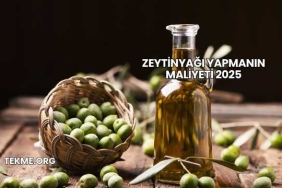 Zeytinyağı Yapmanın Maliyeti 2025