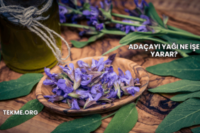 Adaçayı Yağı Ne İşe Yarar?