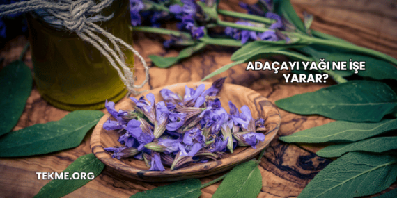 Adaçayı Yağı Ne İşe Yarar?