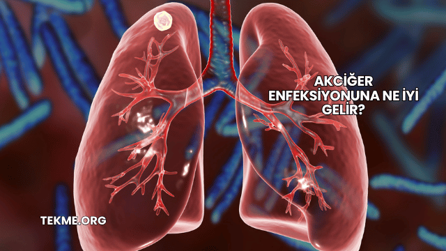 Akciğer Enfeksiyonuna Ne İyi Gelir?