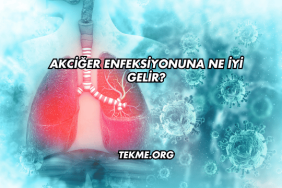 Akciğer Enfeksiyonuna Ne İyi Gelir?
