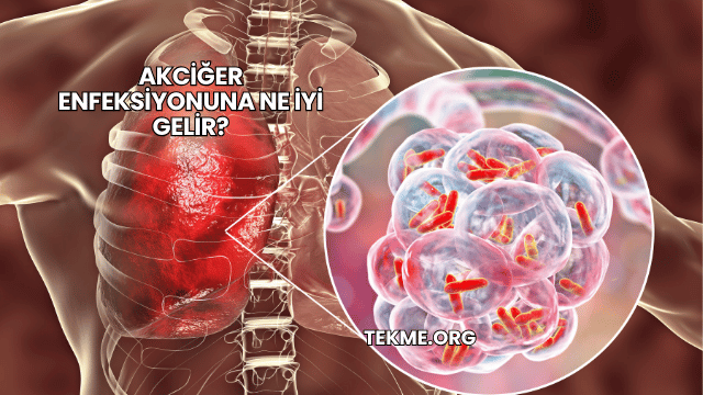 Akciğer Enfeksiyonuna Ne İyi Gelir?