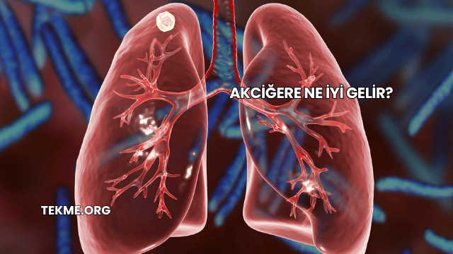 Akciğere Ne İyi Gelir?