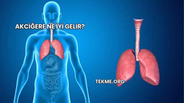 Akciğere Ne İyi Gelir?