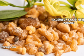 Akgünlük Sakızı Ne İşe Yarar?