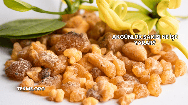 Akgünlük Sakızı Ne İşe Yarar?