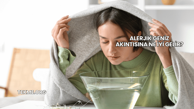 Alerjik Geniz Akıntısına Ne İyi Gelir?