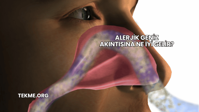 Alerjik Geniz Akıntısına Ne İyi Gelir?