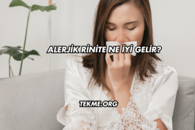 Alerjik Rinite Ne İyi Gelir?