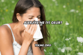 Alerjiye Ne İyi Gelir?