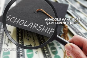 Anadolu Vakfı Burs Şartları Nelerdir?