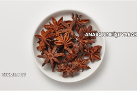 Anason Ne İşe Yarar?
