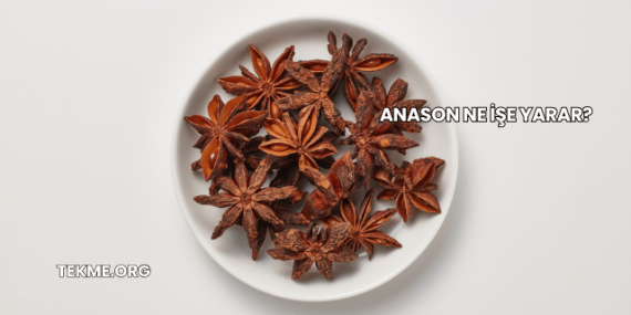 Anason Ne İşe Yarar?