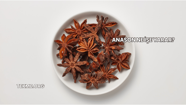 Anason Ne İşe Yarar?