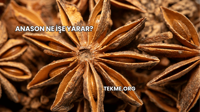 Anason Ne İşe Yarar?