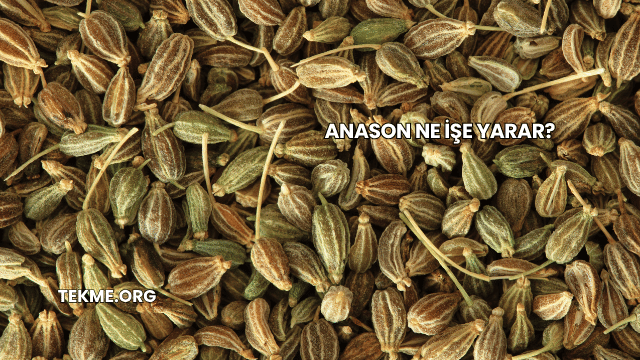 Anason Ne İşe Yarar?