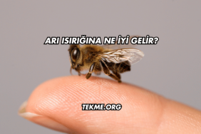 Arı Isırığına Ne İyi Gelir?