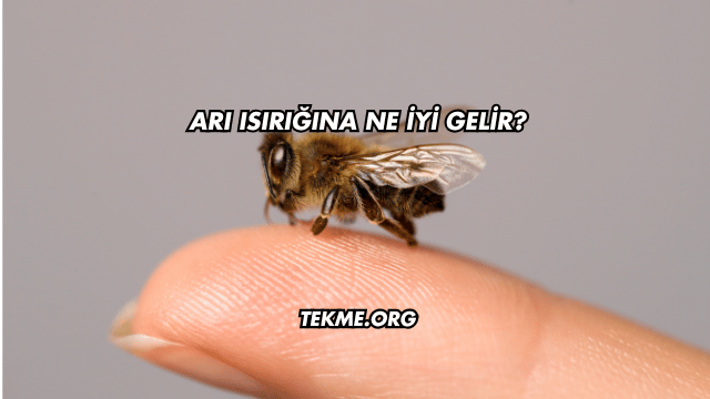 Arı Isırığına Ne İyi Gelir?