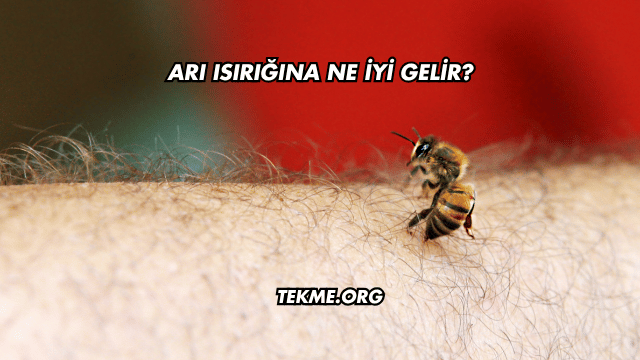 Arı Isırığına Ne İyi Gelir?