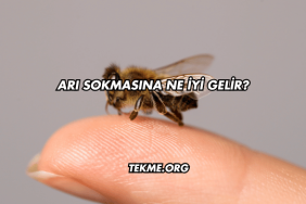 Arı Sokmasına Ne İyi Gelir?