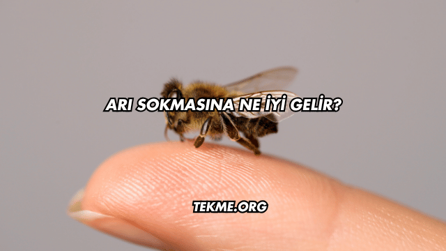 Arı Sokmasına Ne İyi Gelir?