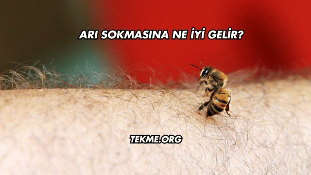 Arı Sokmasına Ne İyi Gelir?