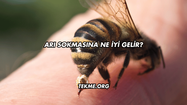Arı Sokmasına Ne İyi Gelir?