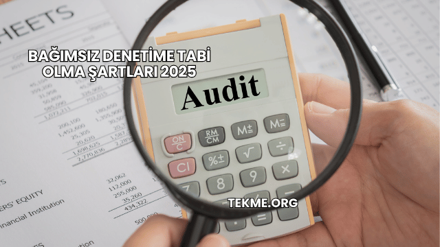 Bağımsız Denetime Tabi Olma Şartları 2025