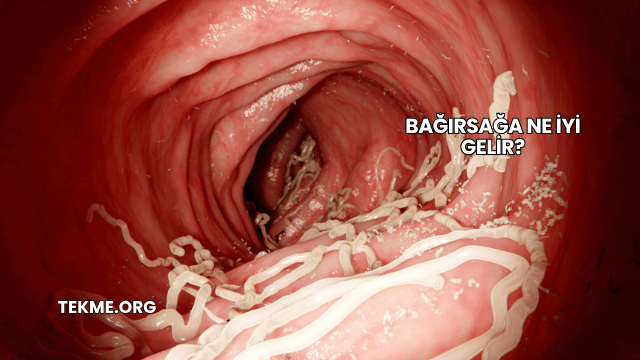 Bağırsağa Ne İyi Gelir?