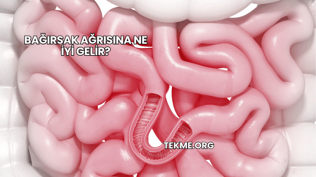 Bağırsak Ağrısına Ne İyi Gelir?