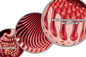 Bağırsak Bozulmasına Ne İyi Gelir?