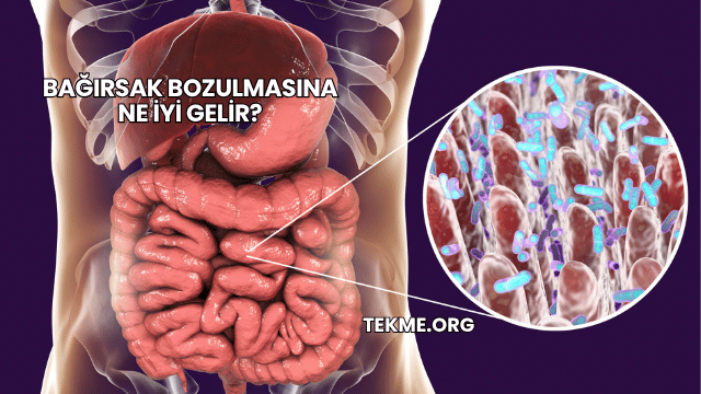 Bağırsak Bozulmasına Ne İyi Gelir?