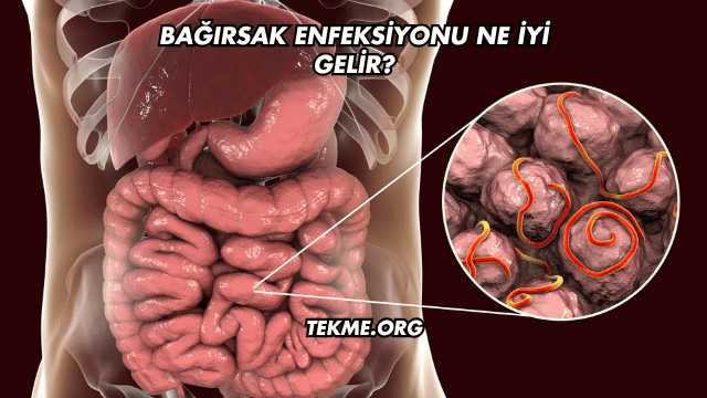 Bağırsak Enfeksiyonu Ne İyi Gelir?