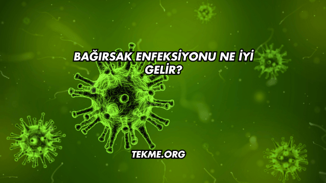 Bağırsak Enfeksiyonu Ne İyi Gelir?