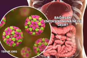 Bağırsak Enfeksiyonuna Ne İyi Gelir?