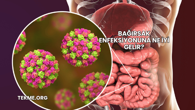 Bağırsak Enfeksiyonuna Ne İyi Gelir?